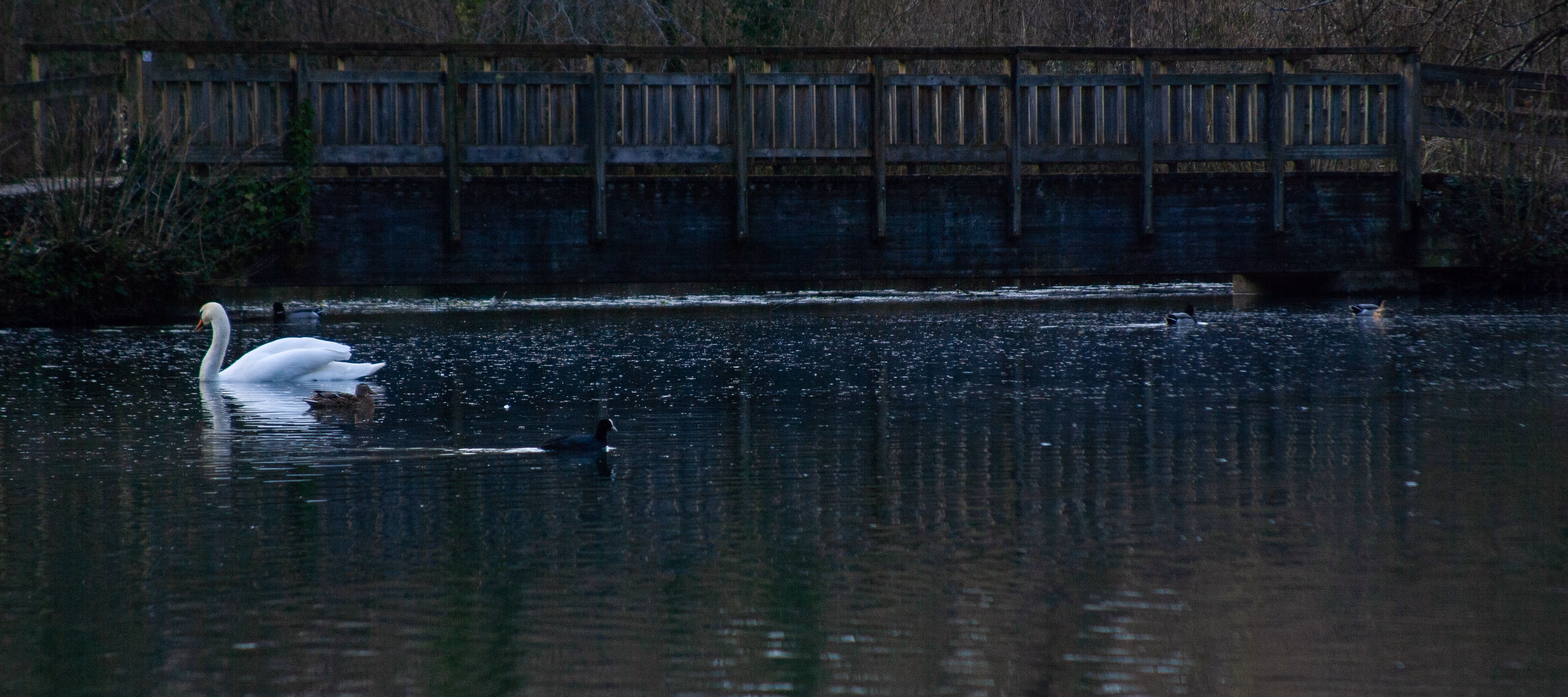 Nature Photography Images