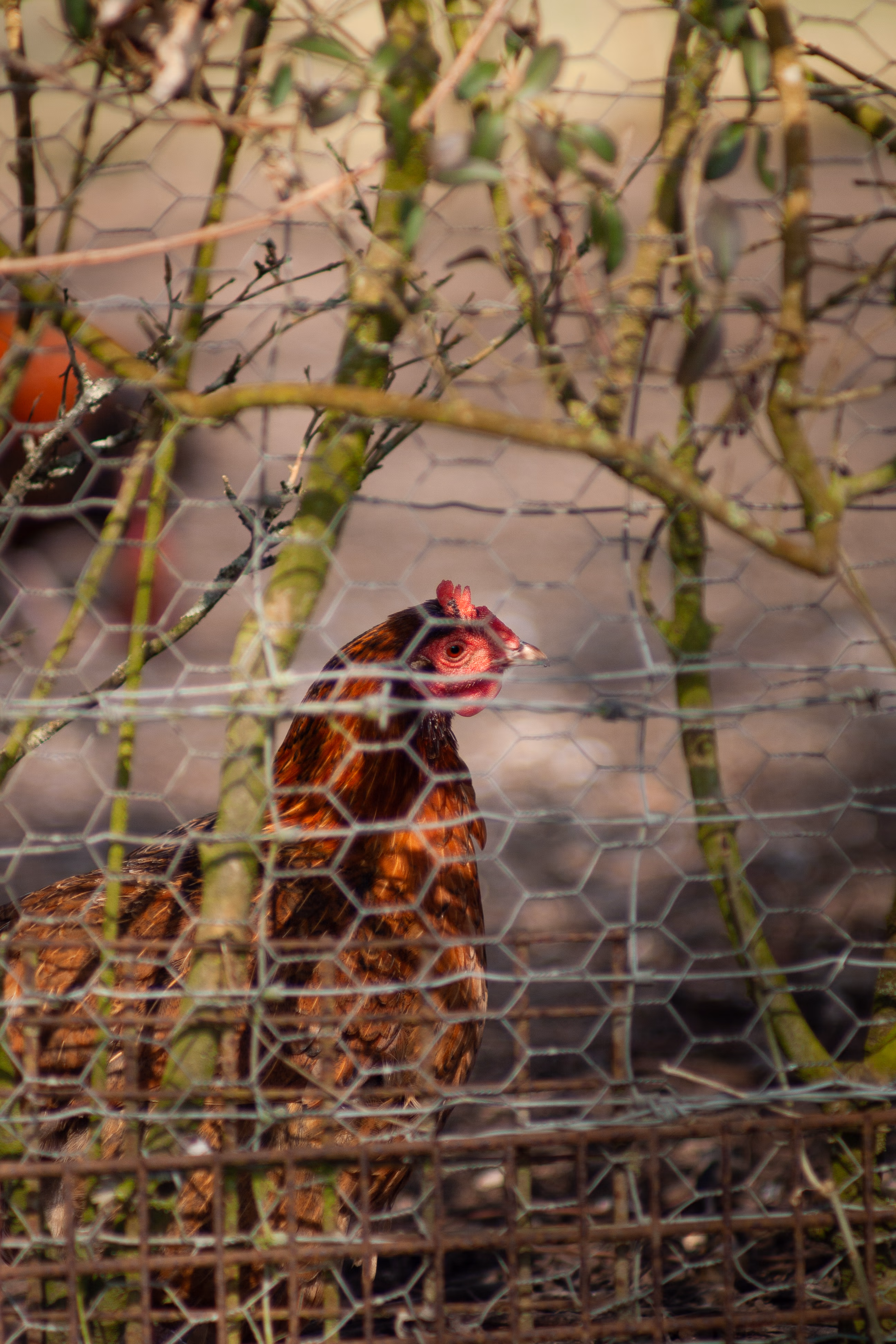 Nature Photography Images