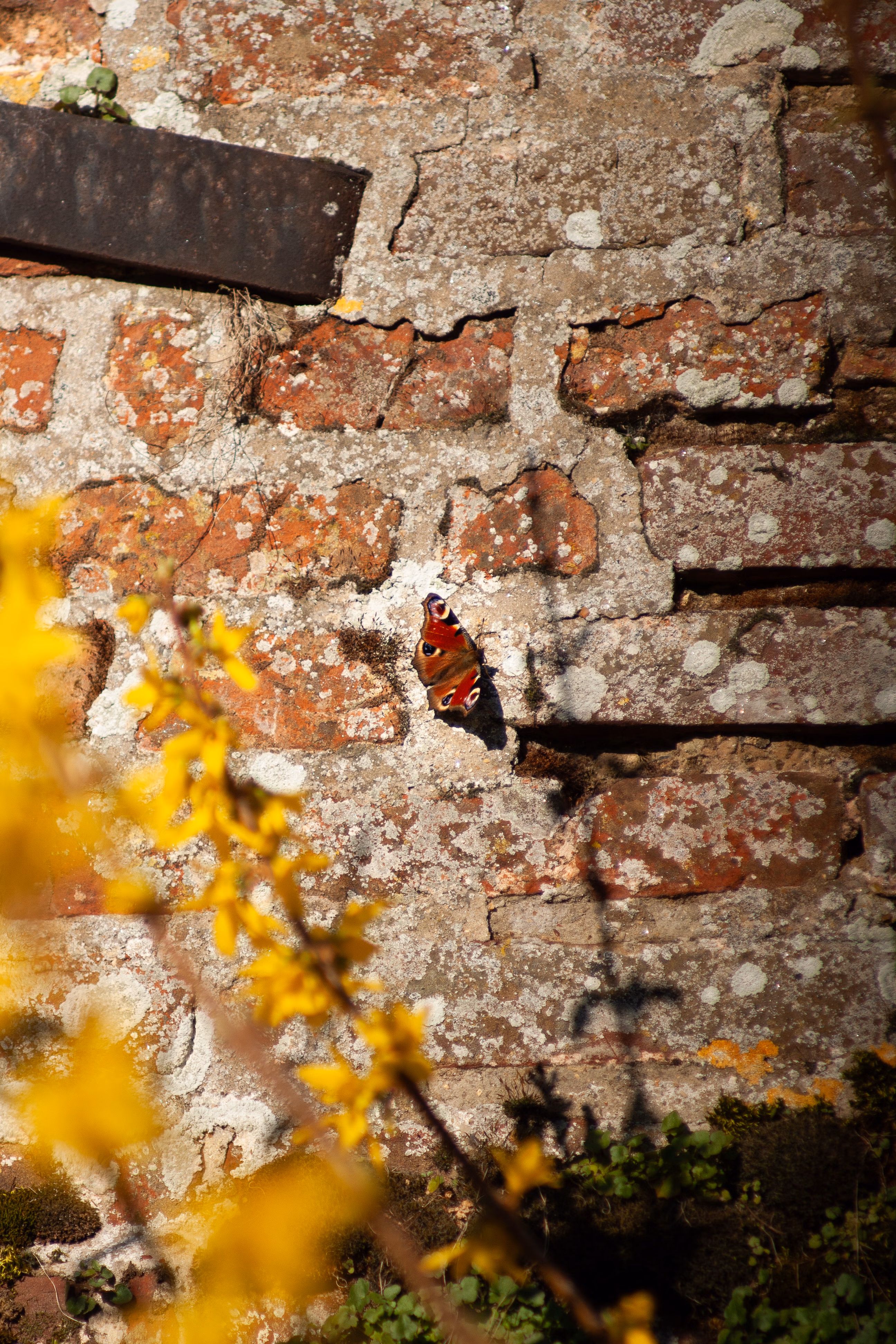 Nature Photography Images